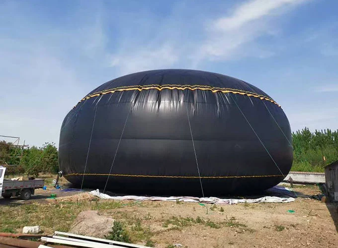 Vezica de stocare a apei si uleiului